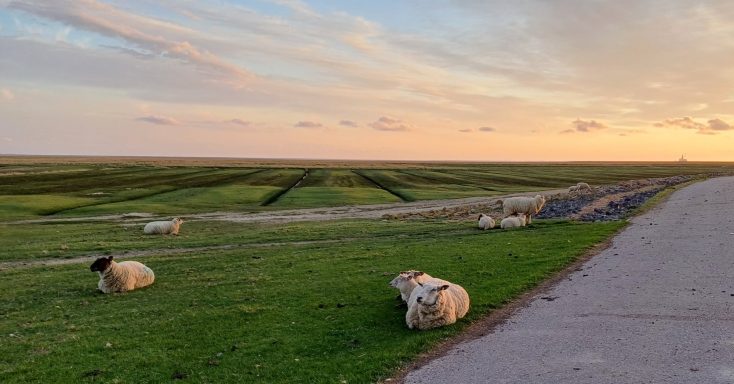 Abendstimmung am Deich